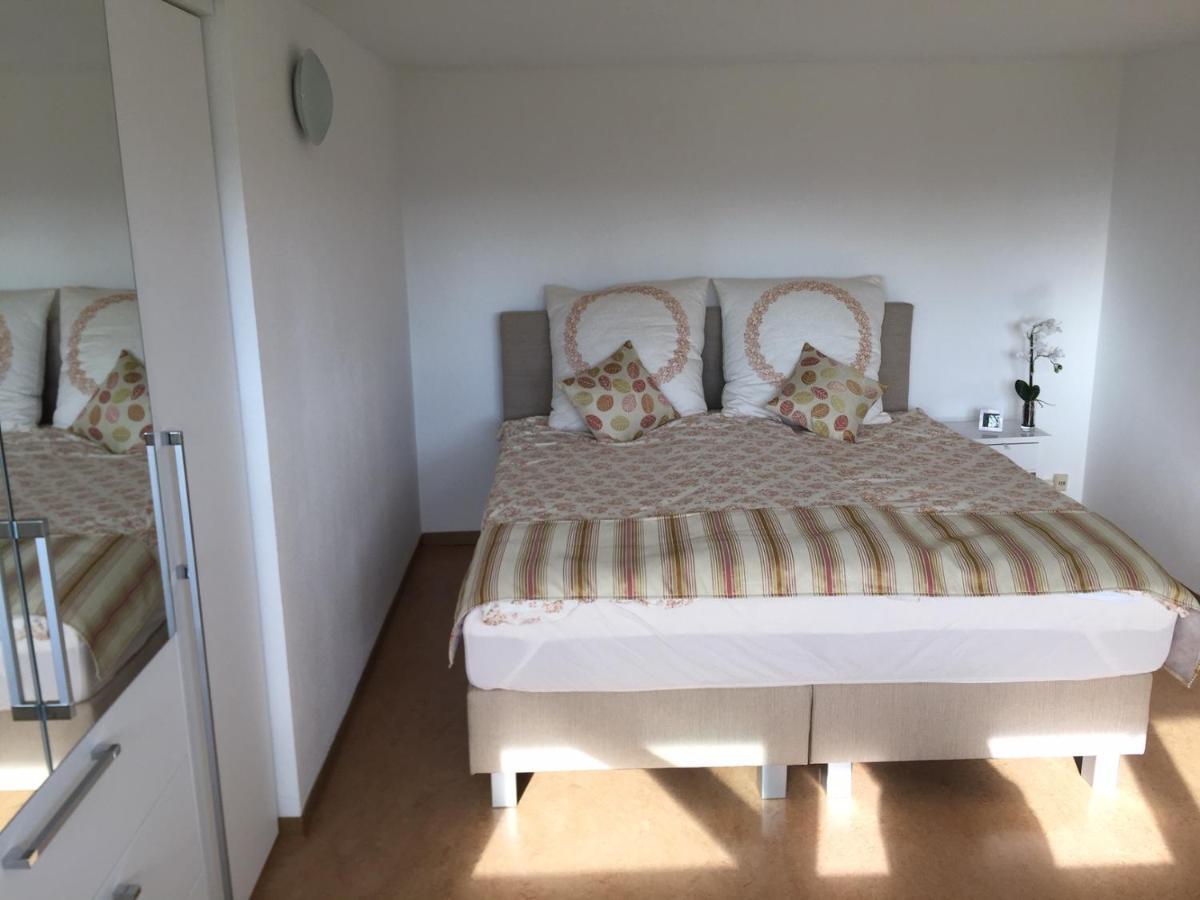 Ferienwohnung Paradies Nollingen エクステリア 写真