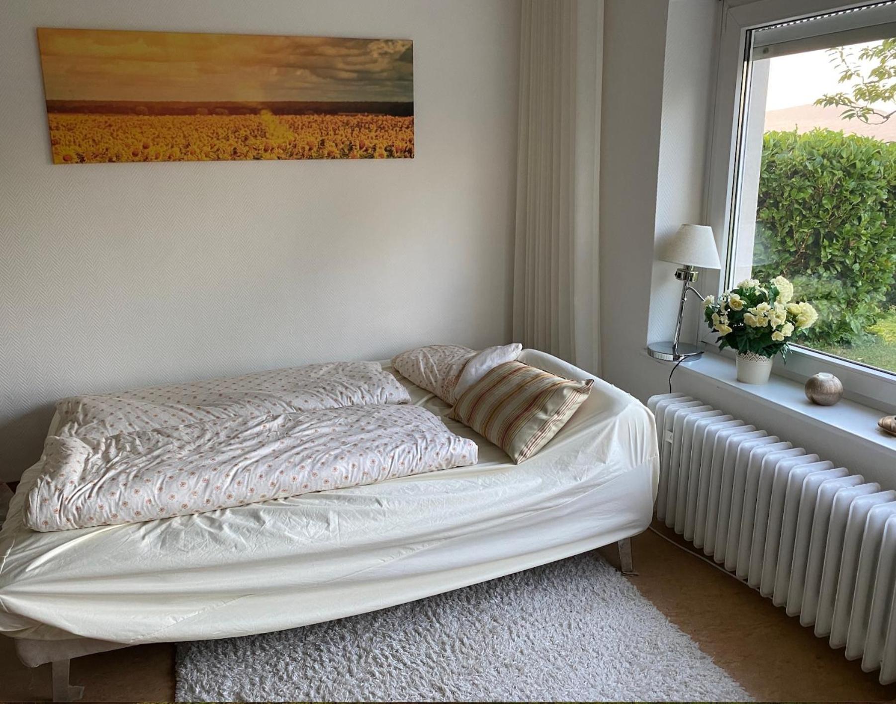 Ferienwohnung Paradies Nollingen エクステリア 写真